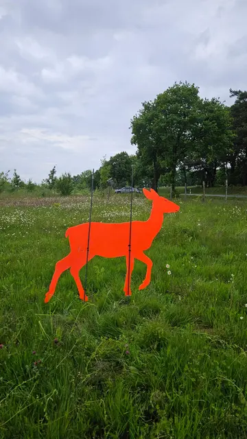 Foto: Klaas Hardenfeld, Bernard Wegner