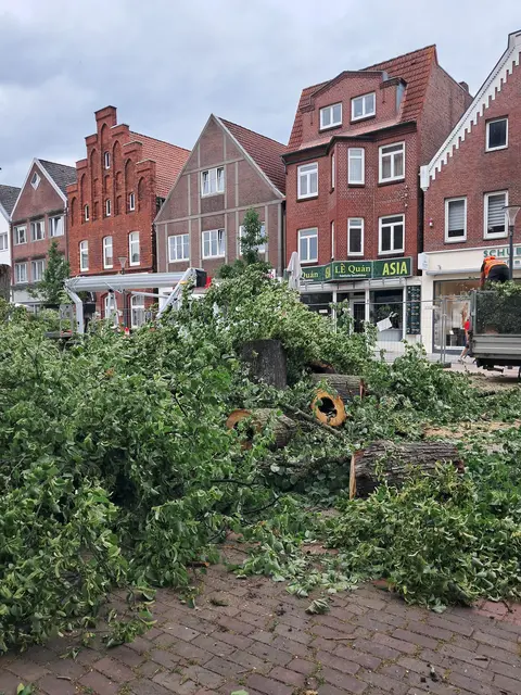 Foto: Anika Werner
