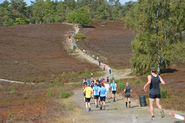 Sportlich geht es im September durch die Heide | Foto:  Brunsberglauf e.V.