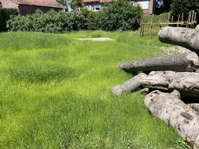 Hier entsteht ein naturnaher Spielplatz | Foto:  Jana Stüven/Gemeinde Jork