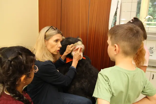 „Alle Zähne vorhanden“: Am Bären Beppo erklärt Jugendzahnärztin Dr. Birgitta Abraham das Gebiss | Foto: Landkreis Harburg