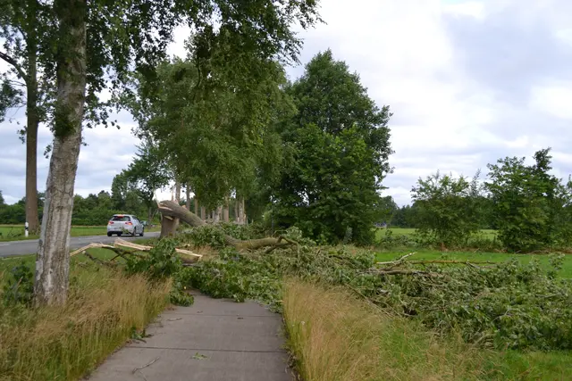 Mancher Baum knickte an der K23 in Königsmoor allerdings auch auf den Radweg | Foto: bim