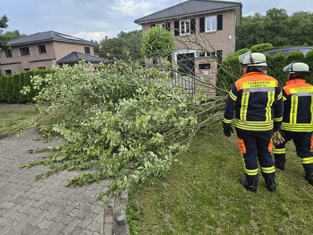 Foto: Köhlbrandt / Feuerwehr