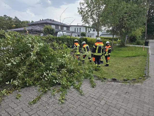Die Feuerwehr Maschen musste im Fachenfelder Weg diesen umgestürzten Baum beseitigen | Foto: Köhlbrandt / Feuerwehr