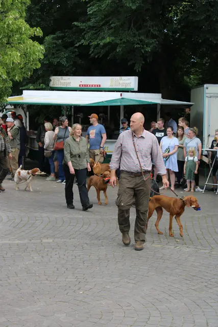 Mitglieder des Jagdgebrauchshundevereins Nordheide zeigten mit ihren Hunden Ausschnitte aus der Apportierarbeit | Foto: ce