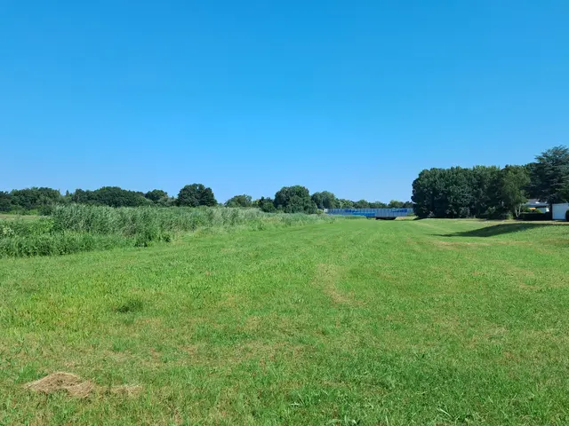 Die Flutmulde an der Luhe ist frisch gemäht und heiß diskutiert | Foto: Anika Werner