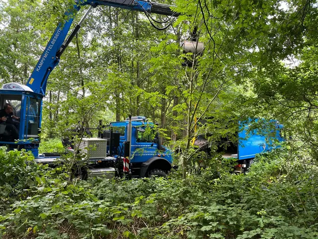 Fahrzeuge am Fundort | Foto: Polizei