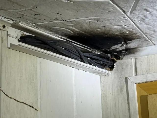 Die verschmorten Leitungen  | Foto: Frank Ewald/Feuerwehren SG Oldendorf-Himmelpforten