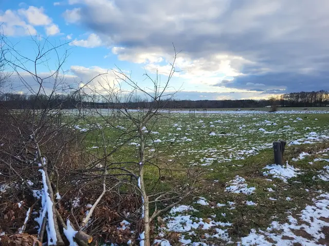 Wo jetzt noch Wiesen und Felder sind, soll ein großes Gewerbegebiet für Dibbersen direkt an der Ortsgrenze zu Nenndorf entstehen. | Foto: sh