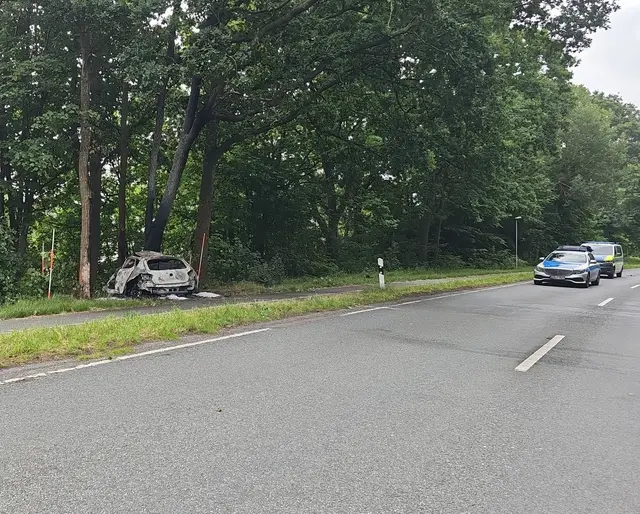 Der PKW Fahrer kam von der Fahrbahn ab | Foto: Polizeiinspektion Cuxhaven