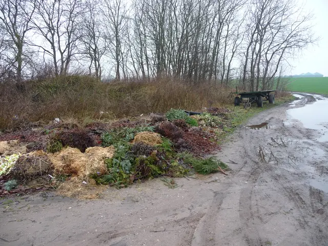 Wildmüll in der Natur ist ein großes Ärgernis. Hier ist bereits eine illegale kleine Grünabfall-Deponie entstanden | Foto: Landkreis Stade