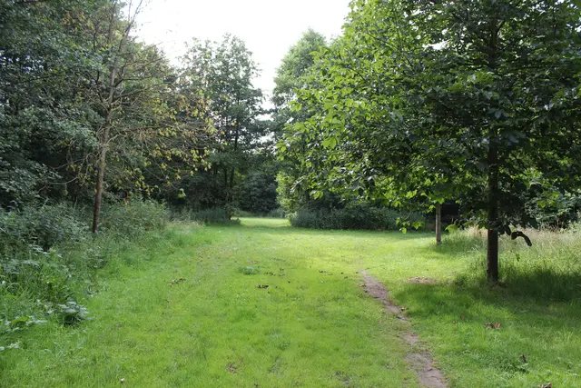 Einst ein Fußballplatz des Sportvereins Güldenstern, heute ein idyllisches Stück Natur | Foto: sb