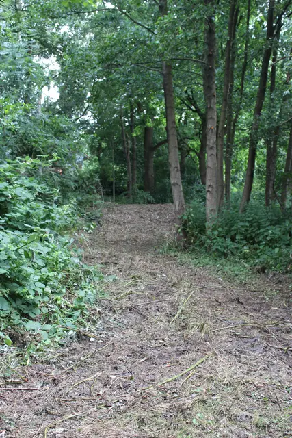 Für die Bergung des Sprengkörpers wurde eine große Schneise ins Dickicht geschlagen | Foto: sb