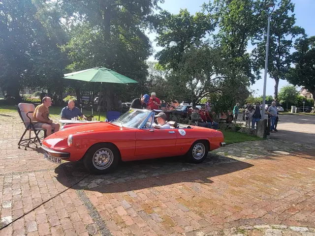 Italienisches Schätzchen: der Alfa Romeo Spider | Foto: wd