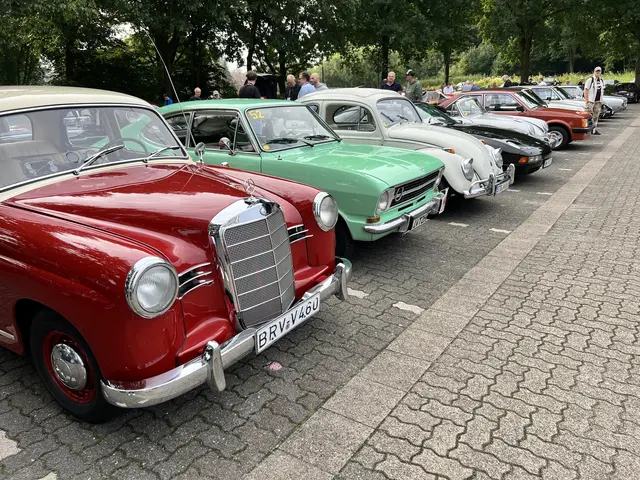 Auto-Parade auf dem Parkplatz der Harsefelder Eissporthalle | Foto: Daniel Beneke