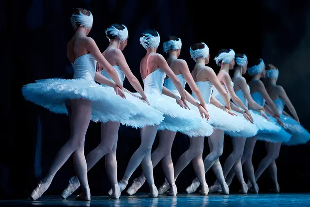 Schwanensee will im Dezember begeistern | Foto: agenda Production