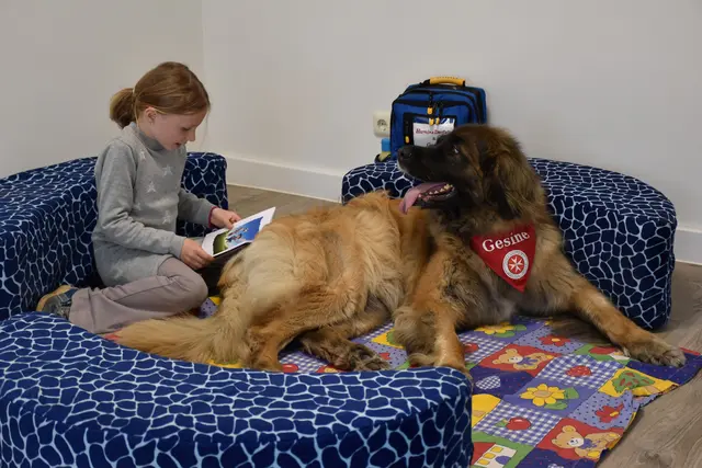 Der Lesehund, die Leonberger-Hündin Gesine, hört dem Kind aufmerksam zu, ohne es zu korrigieren | Foto: Johanniter