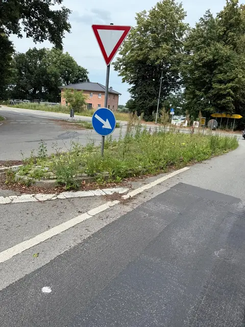 An der Kreisstraße 8 gibt es zu viel Wildwuchs | Foto: thl