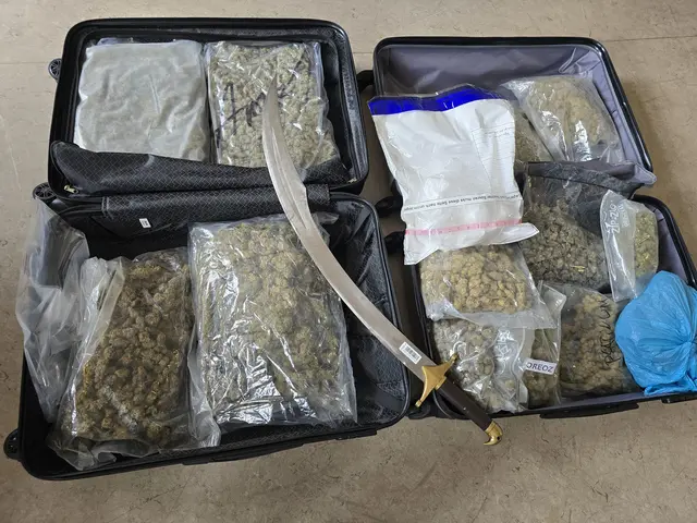 Bei den Hausdurchsuchungen wurden u.a. Marihuana, Kokain und ein Krummdolch sichergestellt | Foto: Polizei