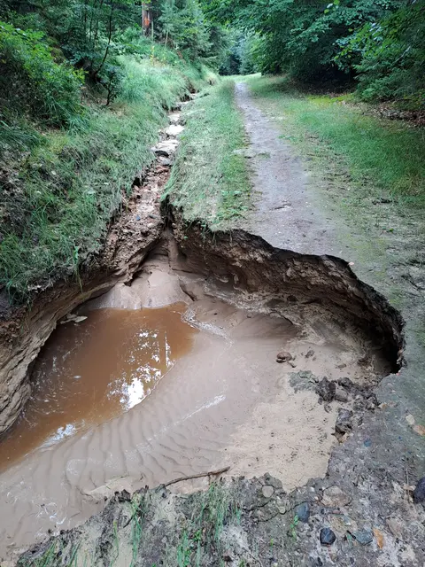 Wassermassen unterspülten zahlreiche Wege  | Foto: Both/NLF
