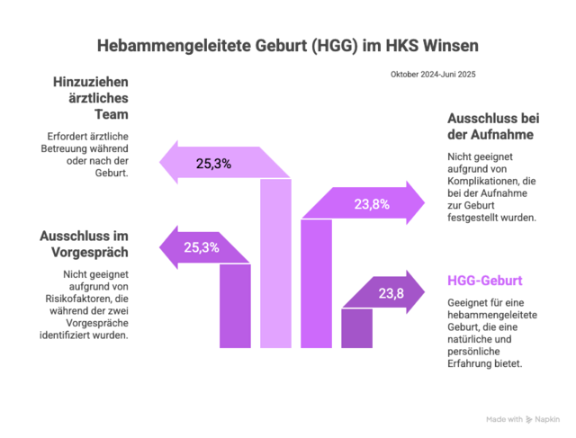 Von Schwangeren mit HGG-Wunsch konnten rund 24 Prozent eine vollständig hebammengeleitete Geburt erleben | Foto: Grafik: Napkin