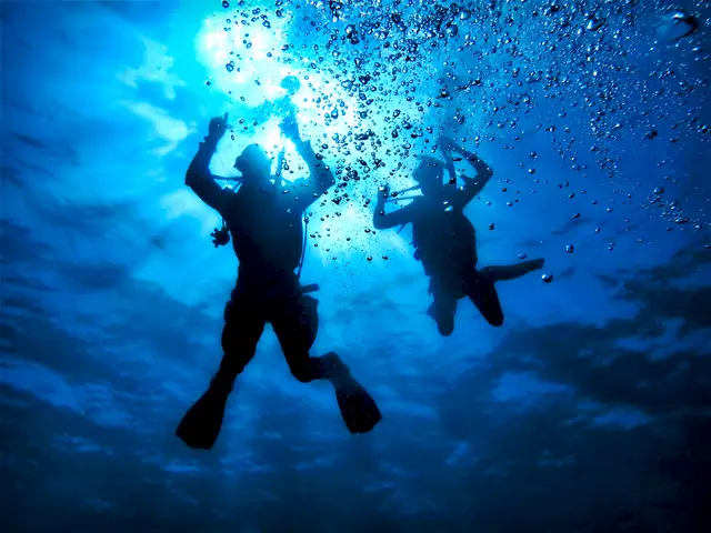 Foto: AdobeStock/Johan