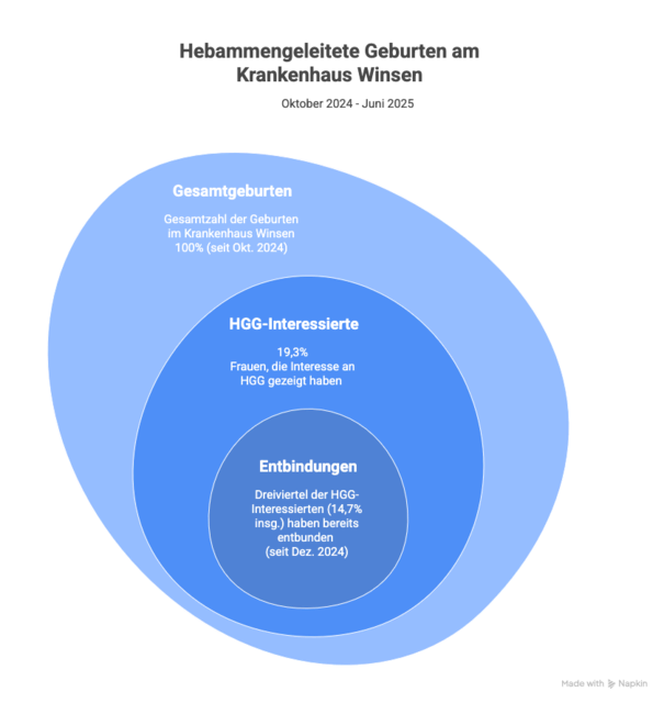 Von allen Geburten seit Oktober 2024 interessierten sich knapp 20 Prozent für eine hebammengeleitete Geburt. Dreiviertel von ihnen haben inzwischen entbunden | Foto: Grafik: Napkin