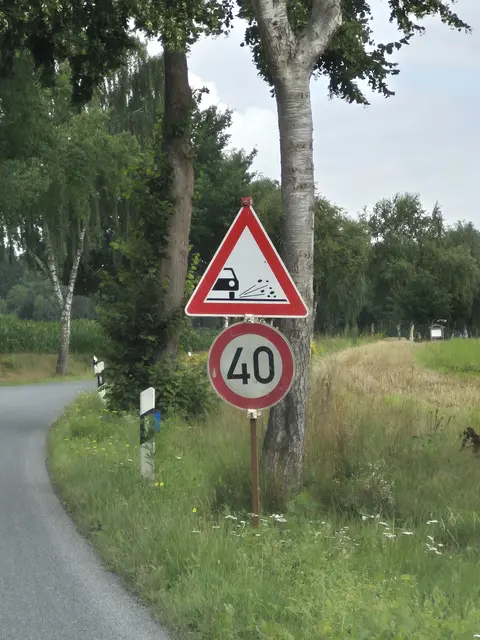 Tempo 40 zwischen Hanstedt und Buchholz - so genießt man endlich einmal das Straßenbegleitgrün | Foto: pöp