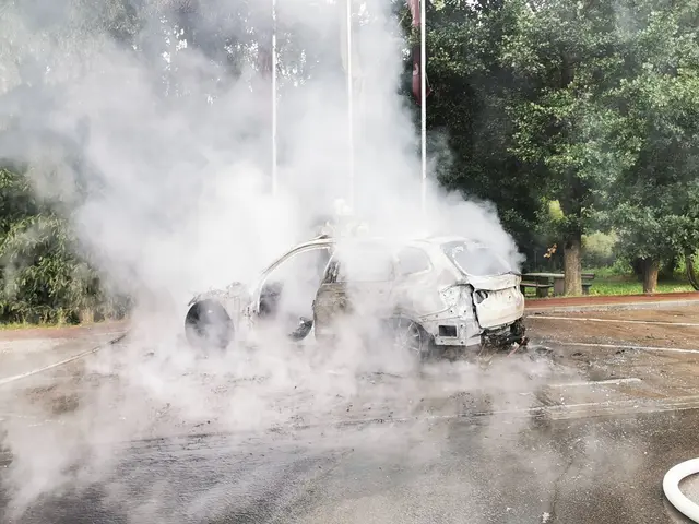 Vollständig ausgebrannt ist ein BMW auf dem Park- und Rastplatz Seevetal an der A 7 bei Ramelsloh. Die Feuerwehr Seevetal löschte den Fahrzeugbrand | Foto: Remon Hirschmeier / FF Maschen