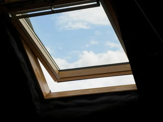 Foto: Brett Jordan / Unsplash