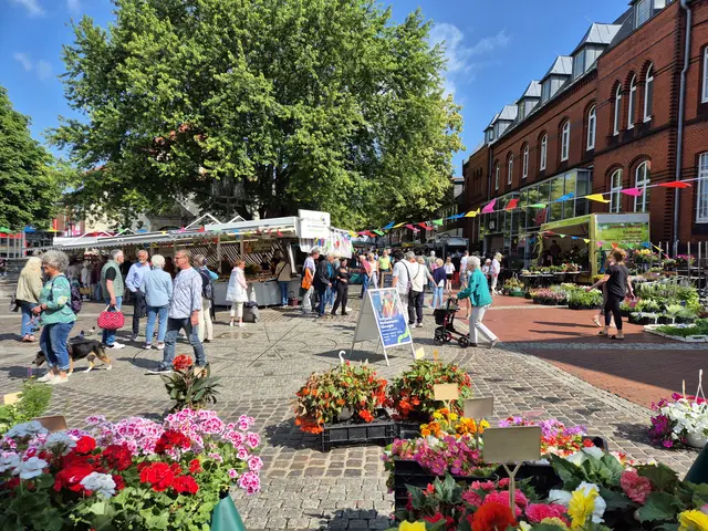 Auf dem Stader Wochenmarkt herrscht buntes Treiben. | Foto: STADE Marketing und Tourismus GmbH