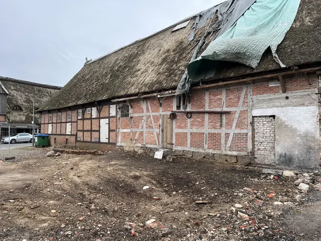 Vor 13 Monaten befand sich das ursprüngliche Reet noch auf dem Dach der Scheune, bevor es durch eine neue Eindeckung ersetzt wurde | Foto: sra