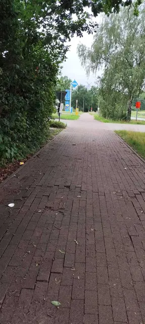 Die Gehwegsteine an der Max-Planck-Straße sind abgesunken oder angehoben und bilden so eine Stolperfalle | Foto: thl