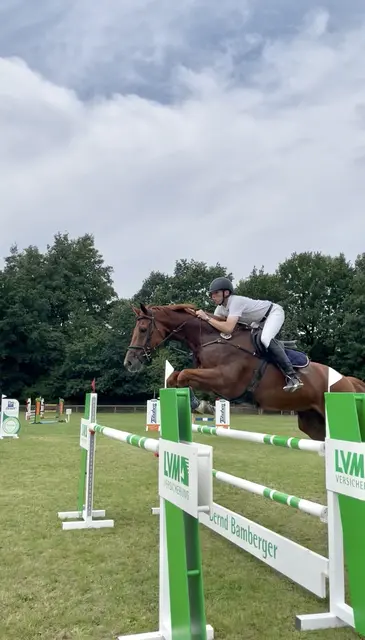 Sebastian Bockholt siegte mit Calimethar in der Springprüfung der Klasse S* mit Siegerrunde | Foto: Harburger Reitverein