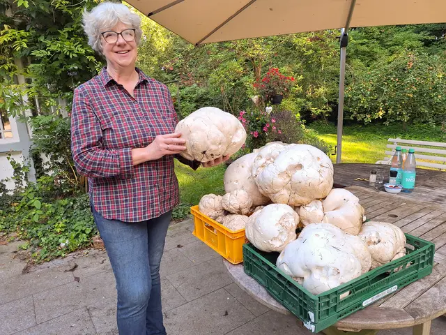 Bürgermeisterin Emily Weede und die Riesenboviste eines Vormittags | Foto: Gemeinde Seevetal
