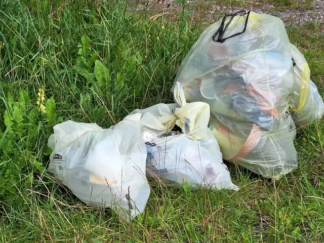 Immer wieder rissen Raben die Säcke auf und wollten an den Inhalt, die Anwohner knoteten die Säcke täglich neu zu | Foto: Kriese