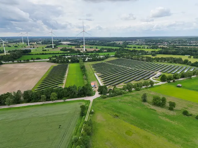 Aus dem neuen Solarpark Grevelau wird künftig fast die Hälfte des Strombedarfs des Krankenhauses Winsen gedeckt | Foto: Stadtwerke Winsen