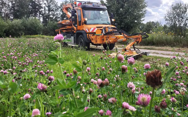 Zur Stärkung der Biodiversität wird in Buchholz jetzt nicht mehr durchgängig gemäht | Foto: Martin Siedenkopf
