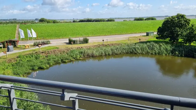 Blick auf der Elbe  | Foto: ig 