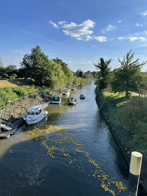 Das Entenrennen auf der Lühe | Foto: Lions Club Das Alte Land