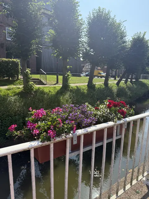 Hier blüht es am Fleet in Jork | Foto: Gemeinde Jork