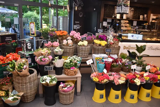 Das Blumenangebot im Edeka-Markt an der Hamburger Straße 83 | Foto: Axel-Holger Haase