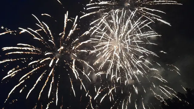 das feuerwerk | Foto: Schützenverein