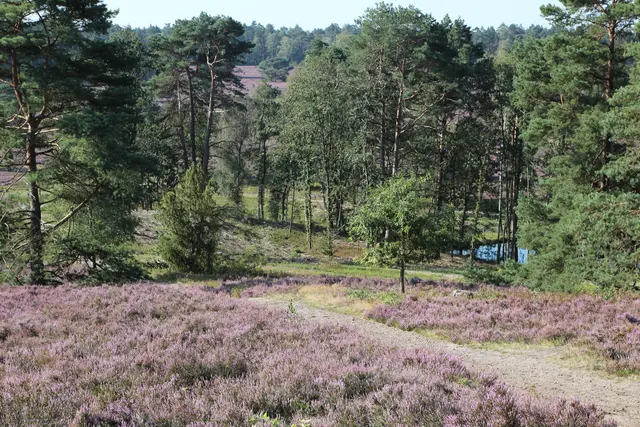 Ein Naturidyll aus dem Bilderbuch: Das Büsenbachtal ist beliebt. Eine neue ausgeschilderte Route führt jetzt vom Bahnhof Sprötze in das Gebiet | Foto: Landkreis Harburg
