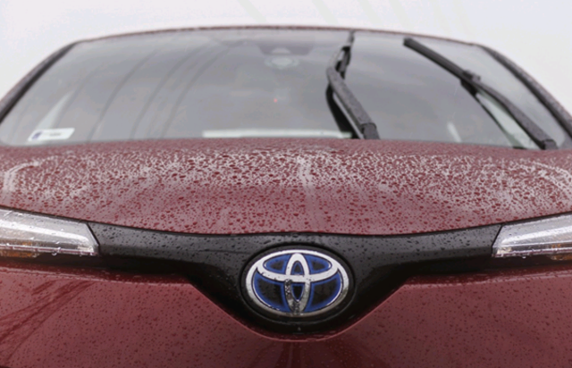 Dunkelroter Toyota in Frontansicht mit feuchter Motorhaube, im Fokus das Toyota-Emblem