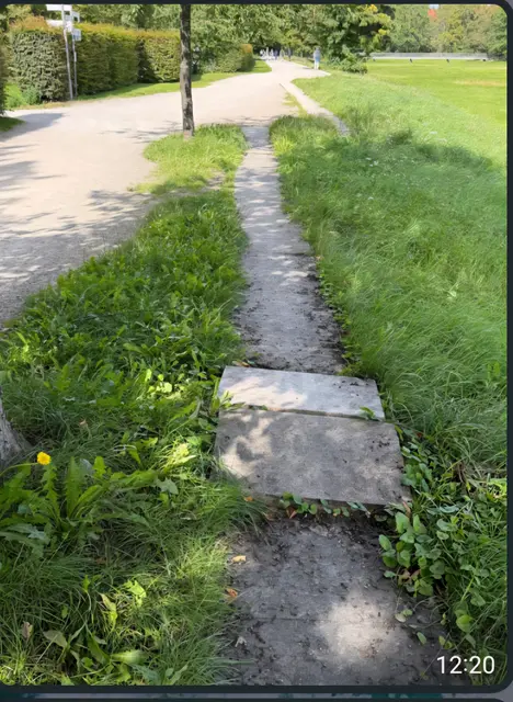 Herausragende Gehweg-Platten bilden am Luhe-Wanderweg eine Stolperfalle | Foto: thl