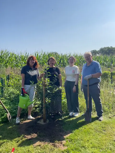 Gemeisterte Baumpflanz-Challenge: Frank Havemann, Inge Vagts (li.), Ilka Heinrich und Aylin Schwenke | Foto: Rainer Schnackenberg