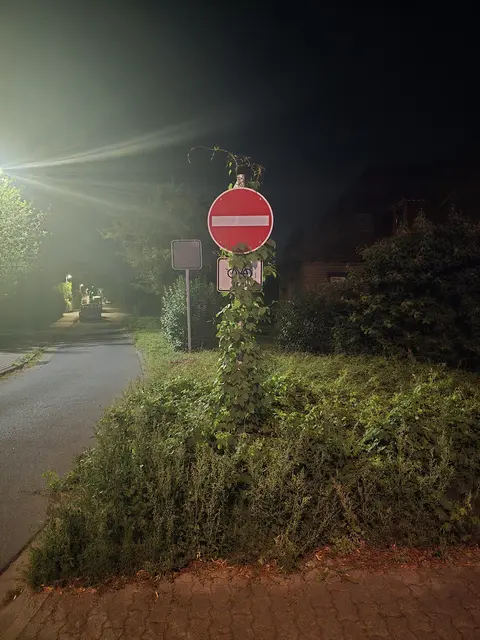 Das Straßenschild in der Stettiner Straße wird von einer Ranke umwuchert | Foto: thl