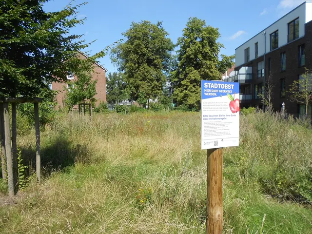 Auf der Fläche an der Siedestraße stehen nach Ansicht der Stader Linken zu wenig Obstbäume | Foto: Linke