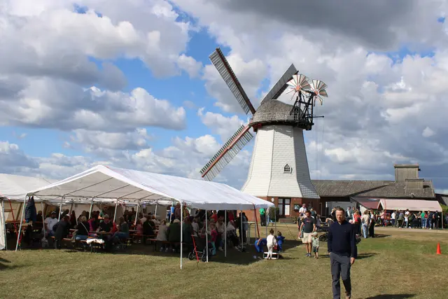 Rund um die Eyendorfer Windmühle herrschte beim Dorffest reges Treiben | Foto: ce